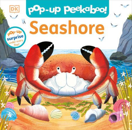 Pop-Up Peekaboo! Seashore